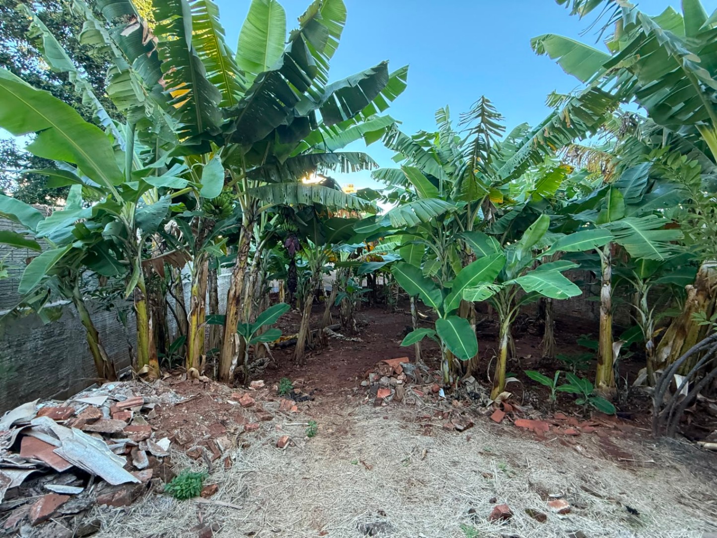 Casa em Monte Castelo — foto 18