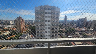 Miniatura 11